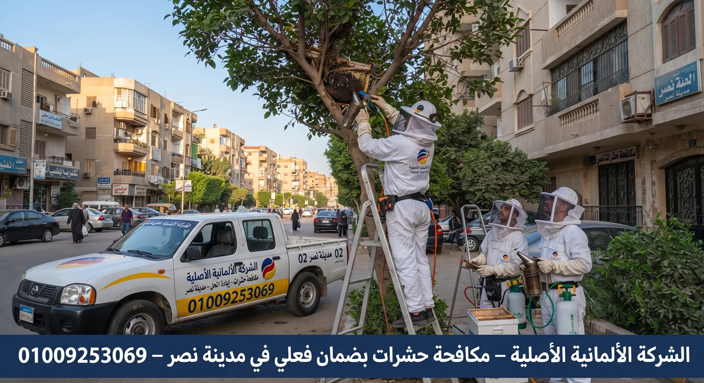 تدخل الشركة الألمانية الأصلية لمكافحة النحل فى مدينة نصر داخل شرفات وأسطح المنازل