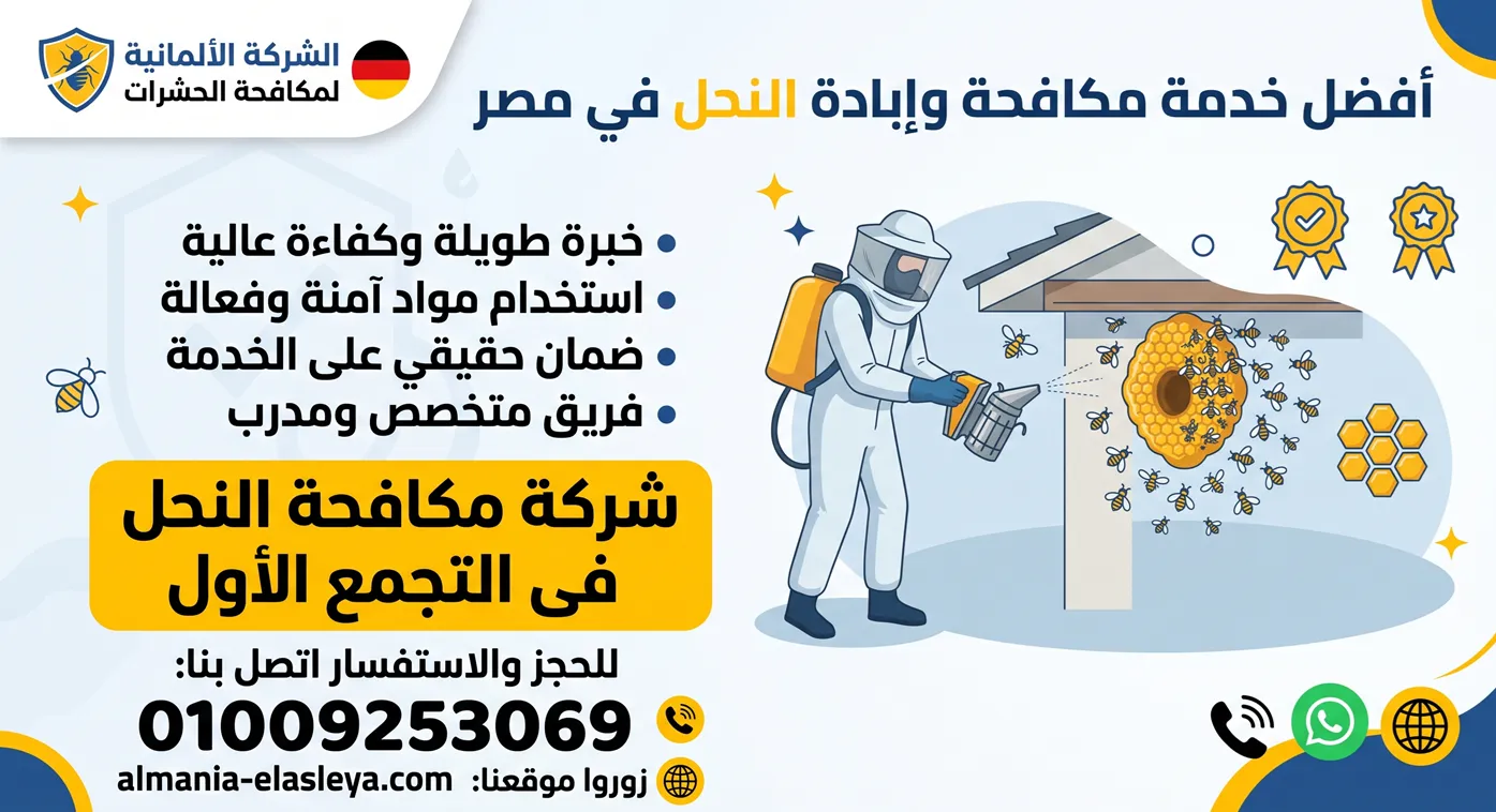 شركة مكافحة النحل فى التجمع الأول عزل المستعمرات باحترافية